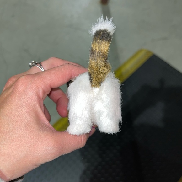 CAT DECOR - Picture 4 of 4